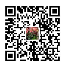 掃描二維碼加微信